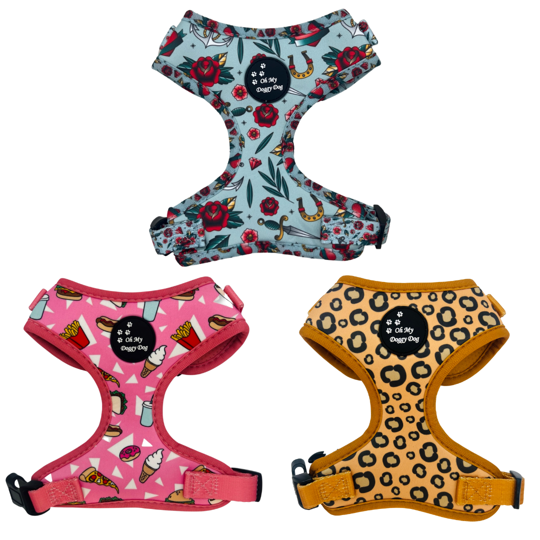 HARNESSES