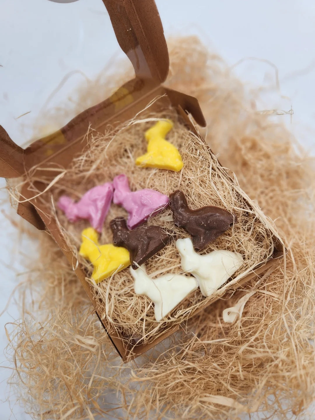 Dog Easter Bunnies box