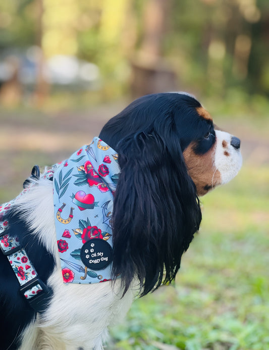 OLD SCHOOL: Bandana