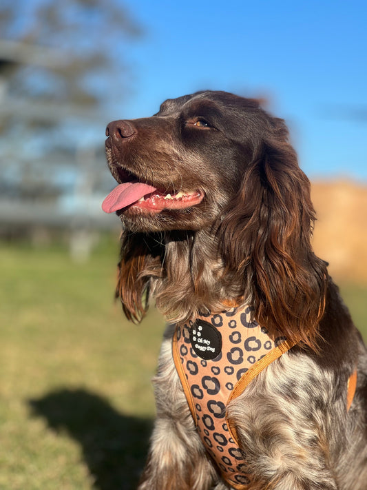 WILD ONES - LEOPARD PRINT: Adjustable Harness