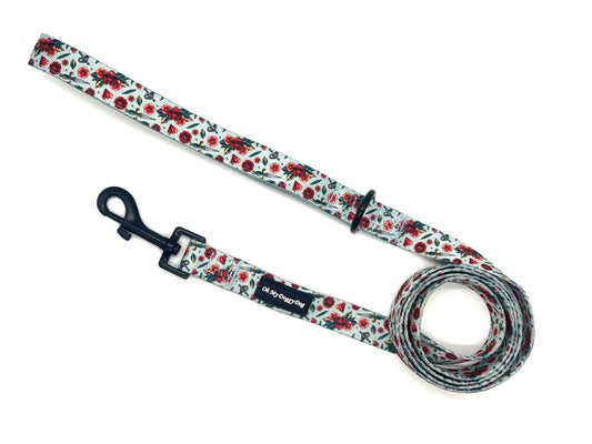 OLD SCHOOL: Leash